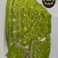 Enchanting Elegance Mehandi Green Satin Poshak with Gota Patti Jaal Work