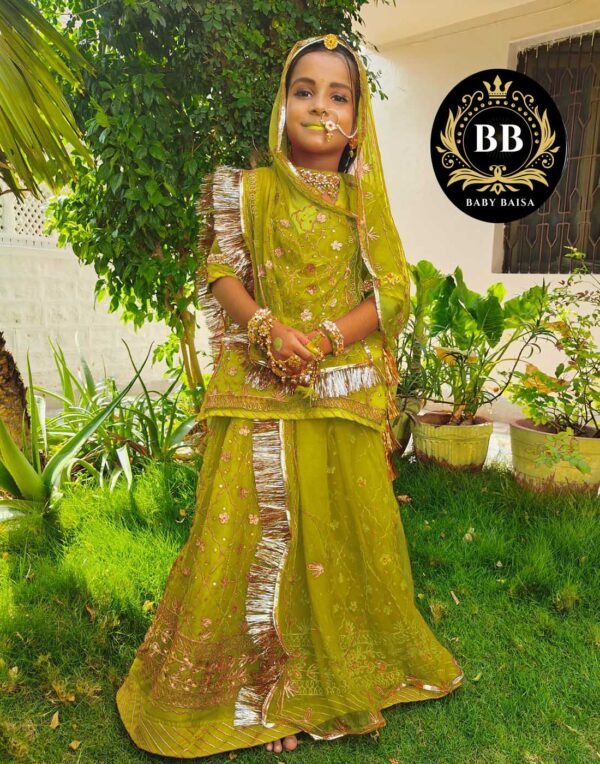 Rajputi Poshak for Girls in Light Green Color Rajputi Poshak for Girls in Light Green Color