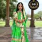 Baby Baisa Parrot Green Color Boutique Poshak of 2025